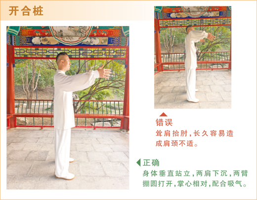 老人咋练太极拳？世界冠军来支招