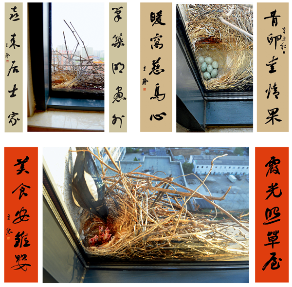 书法家王振，以经典唤醒日常
