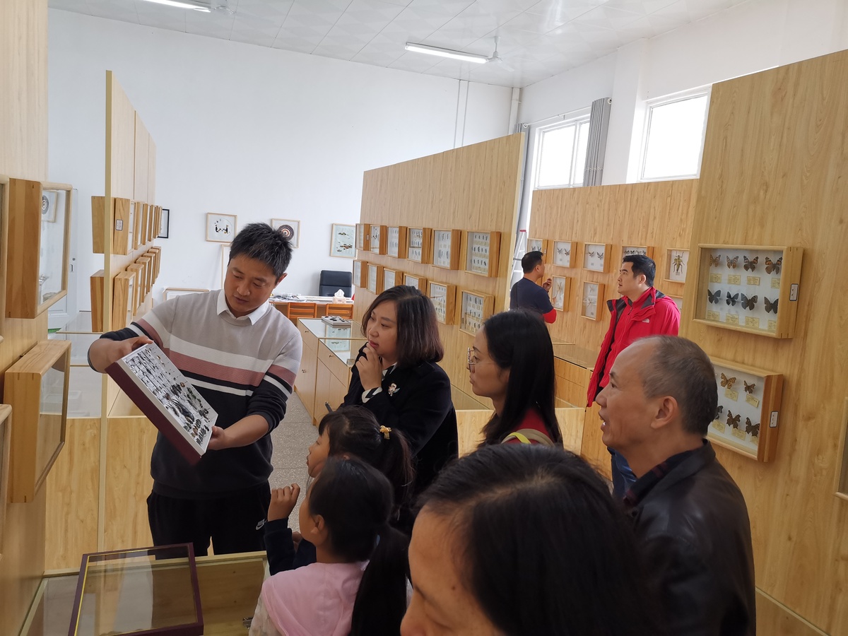 郭为：与蝶共舞的体育老师