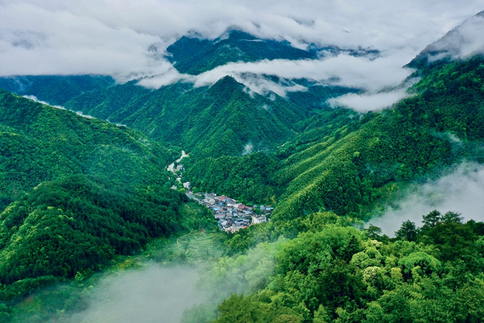 人不负青山,青山定不负人