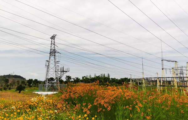 四川能投所属四川省水电集团：全力备战迎峰度夏保供电