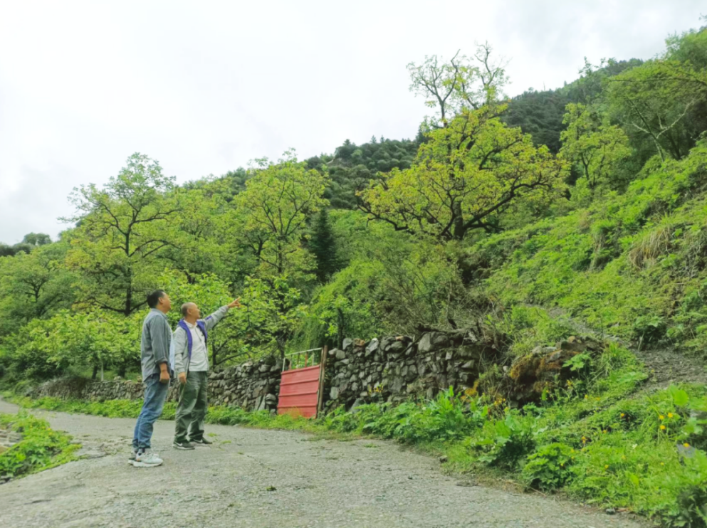 “建行老兵”晋松：往前冲，不能“松”