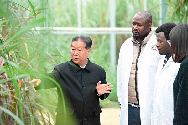 “我们看到了朋友应有的样子”