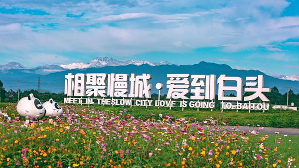 乡村振兴：大雨村从贫困村到“幸福里”