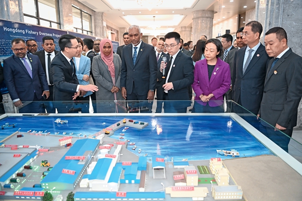 马尔代夫总统,冬天里的一把火