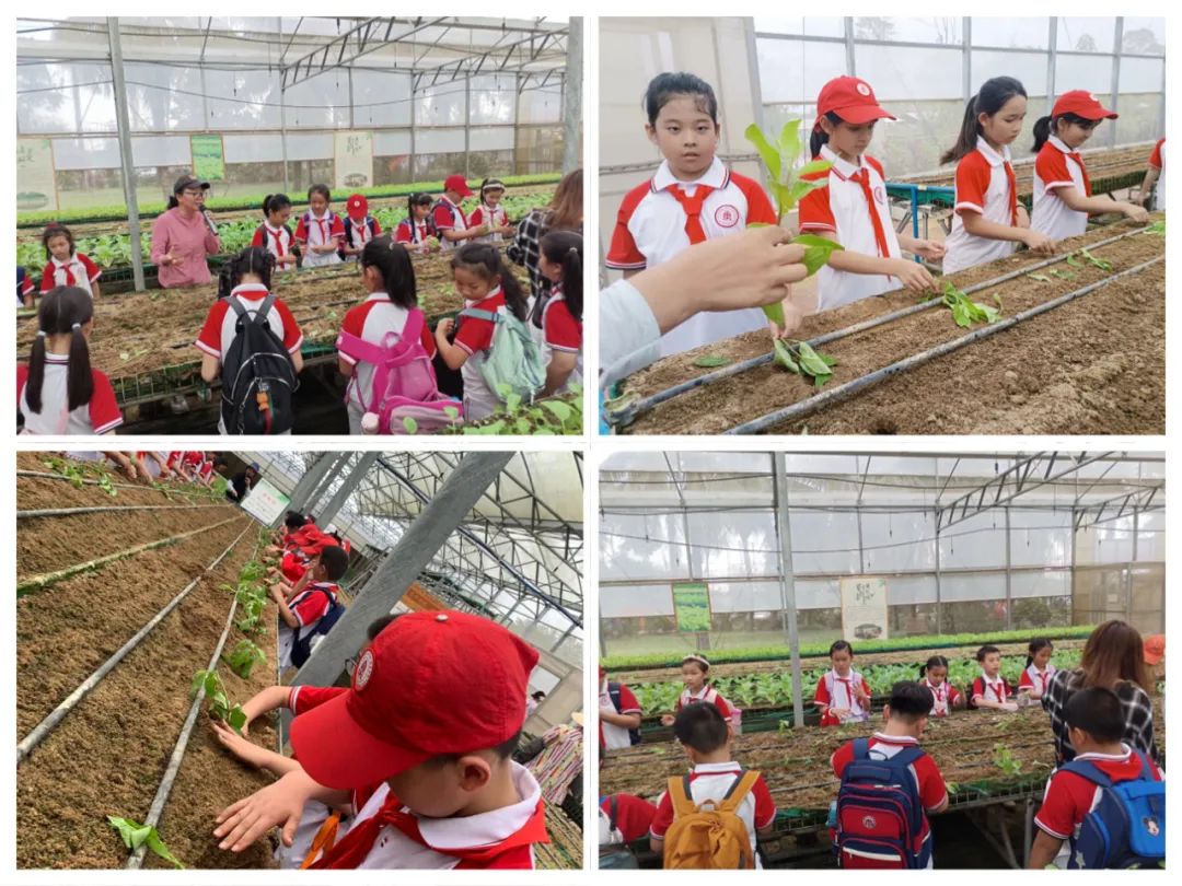 海口南湖红色文化研究院祝贺与北京师范大学海口附属学校春季研学旅行活动圆满成功