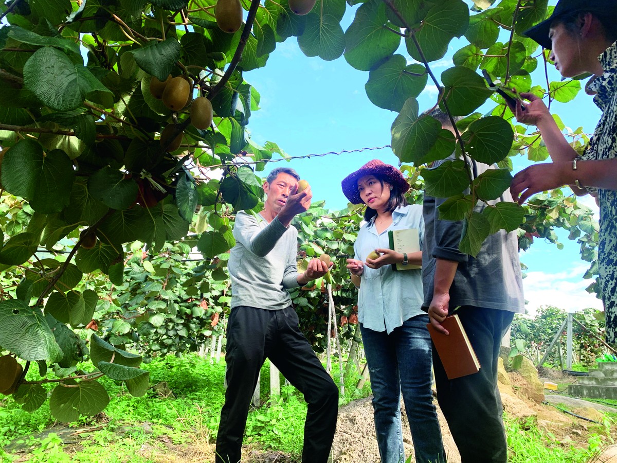 卓玛:回藏创业这些年