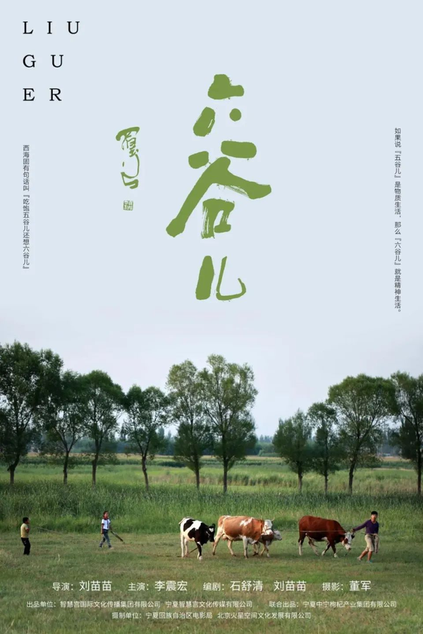 农民合唱团，从田间地头走上大屏幕