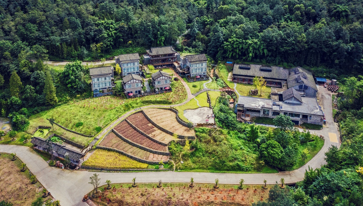 风过邛崃飘酒香