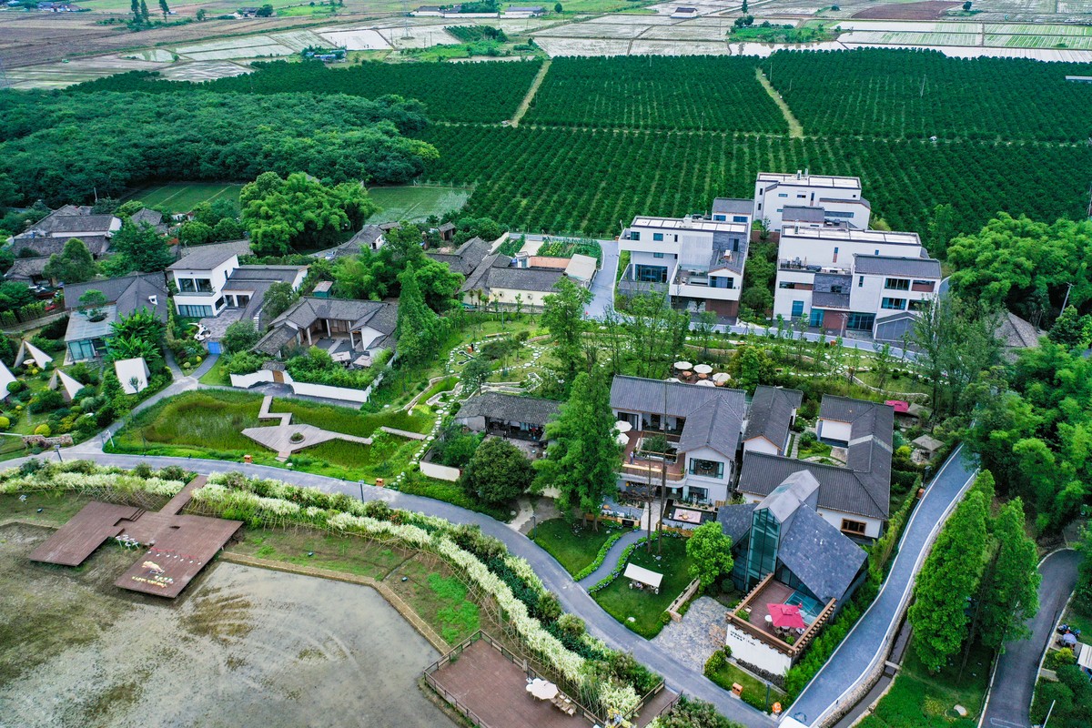 一粒良种，助力乡村振兴