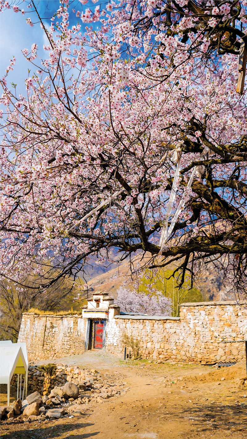新桃花源记