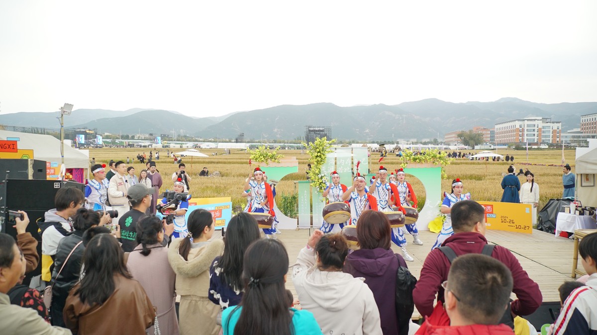 太原稻田音乐节燃情开唱 万人狂欢