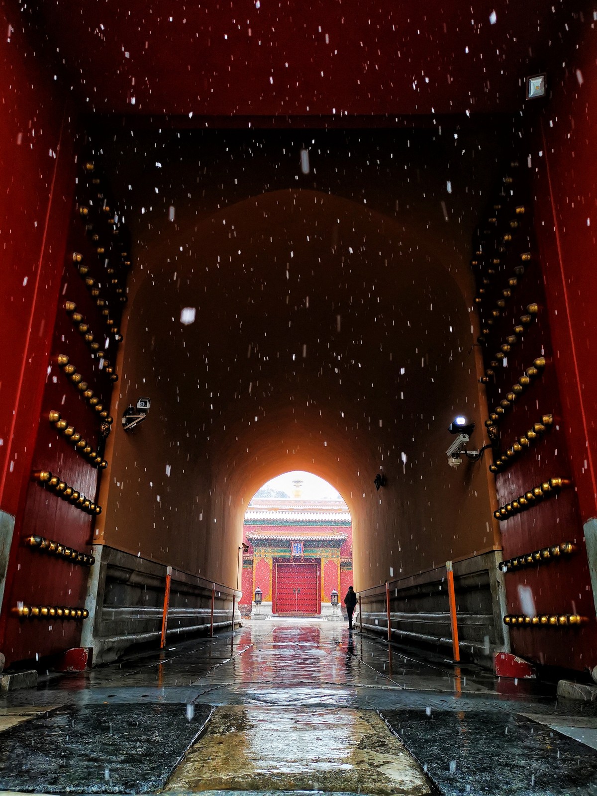 Imperial Palaces of the Ming and Qing Dynasties in Beijing and Shenyang