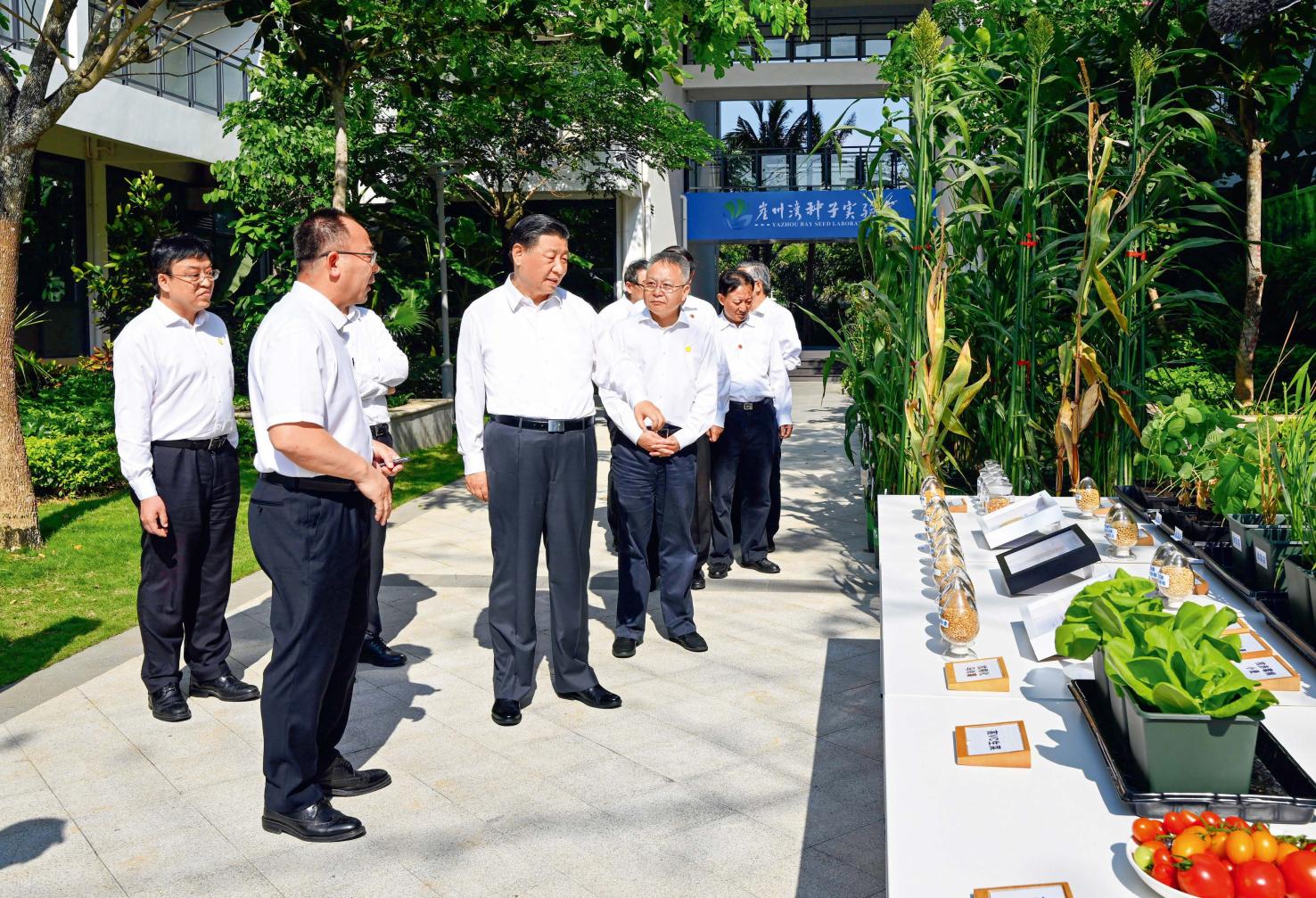 “久久不见久久见，久久见过还想见”——习近平海南情缘_https://www.izongheng.net_快讯_第5张