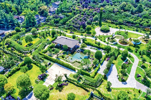 以花为媒 解锁花YOUNG 温江样本