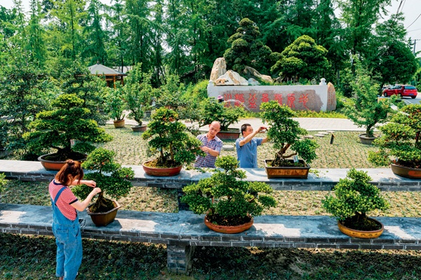 以花为媒 解锁花YOUNG 温江样本