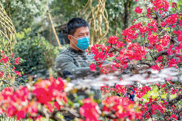 以花为媒 解锁花YOUNG 温江样本