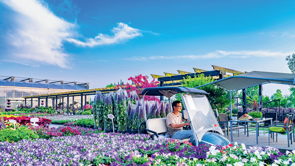 以花为媒 解锁花YOUNG 温江样本