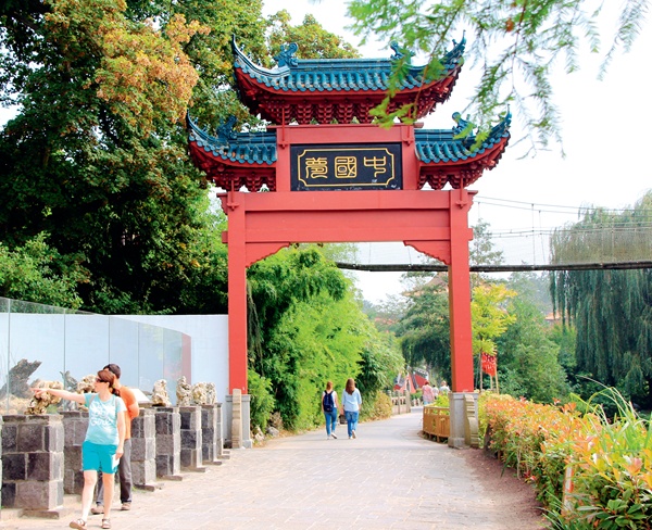 一个比利时人的“中国梦”