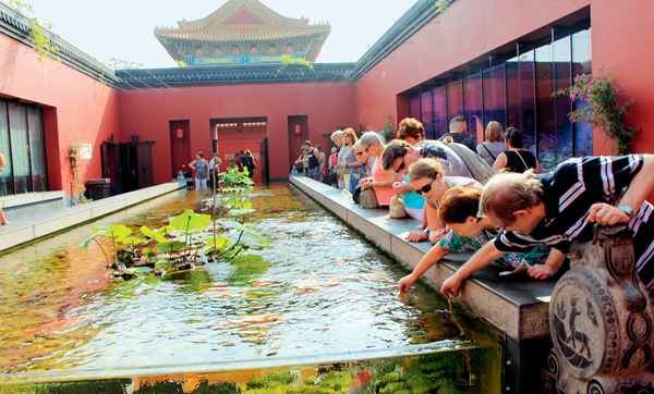 一个比利时人的“中国梦”