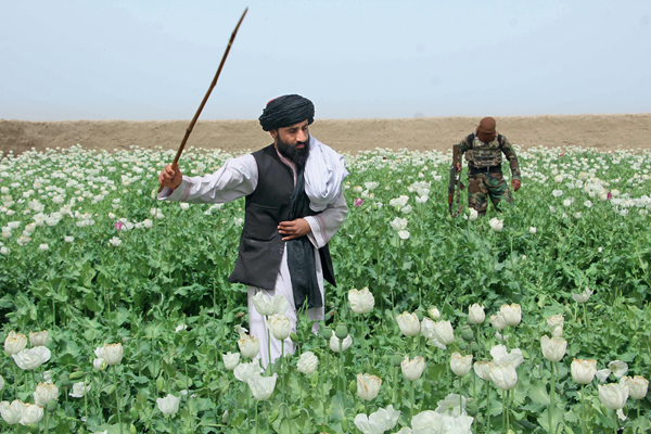 忆为阿富汗奔走的岁月