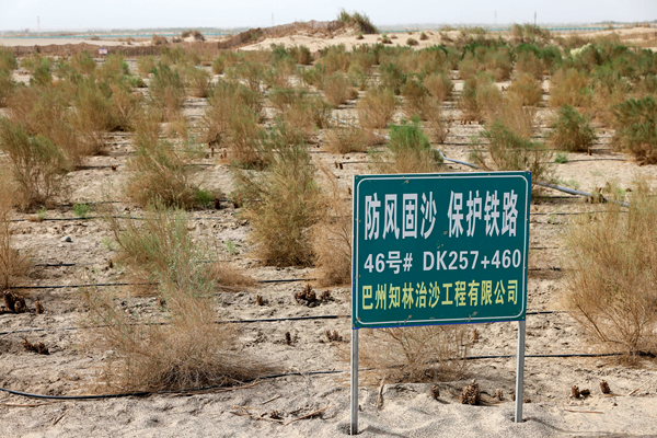 “沙漠王”,让塔克拉玛干从C到O