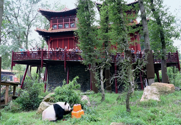 “梵星”闪耀荷兰小城