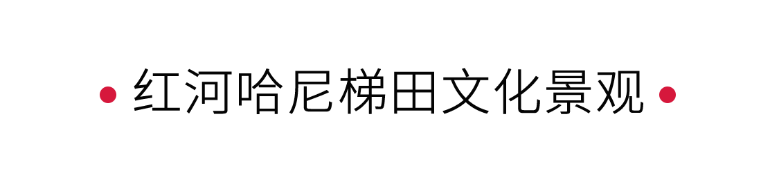 红河哈尼梯田文化景观：大自然的调色盘 | 手机里的中国世界遗产