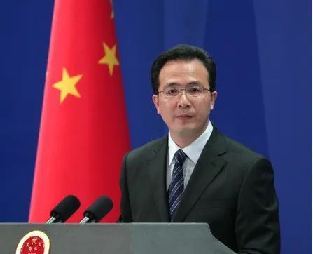 洪磊任外交部部长助理