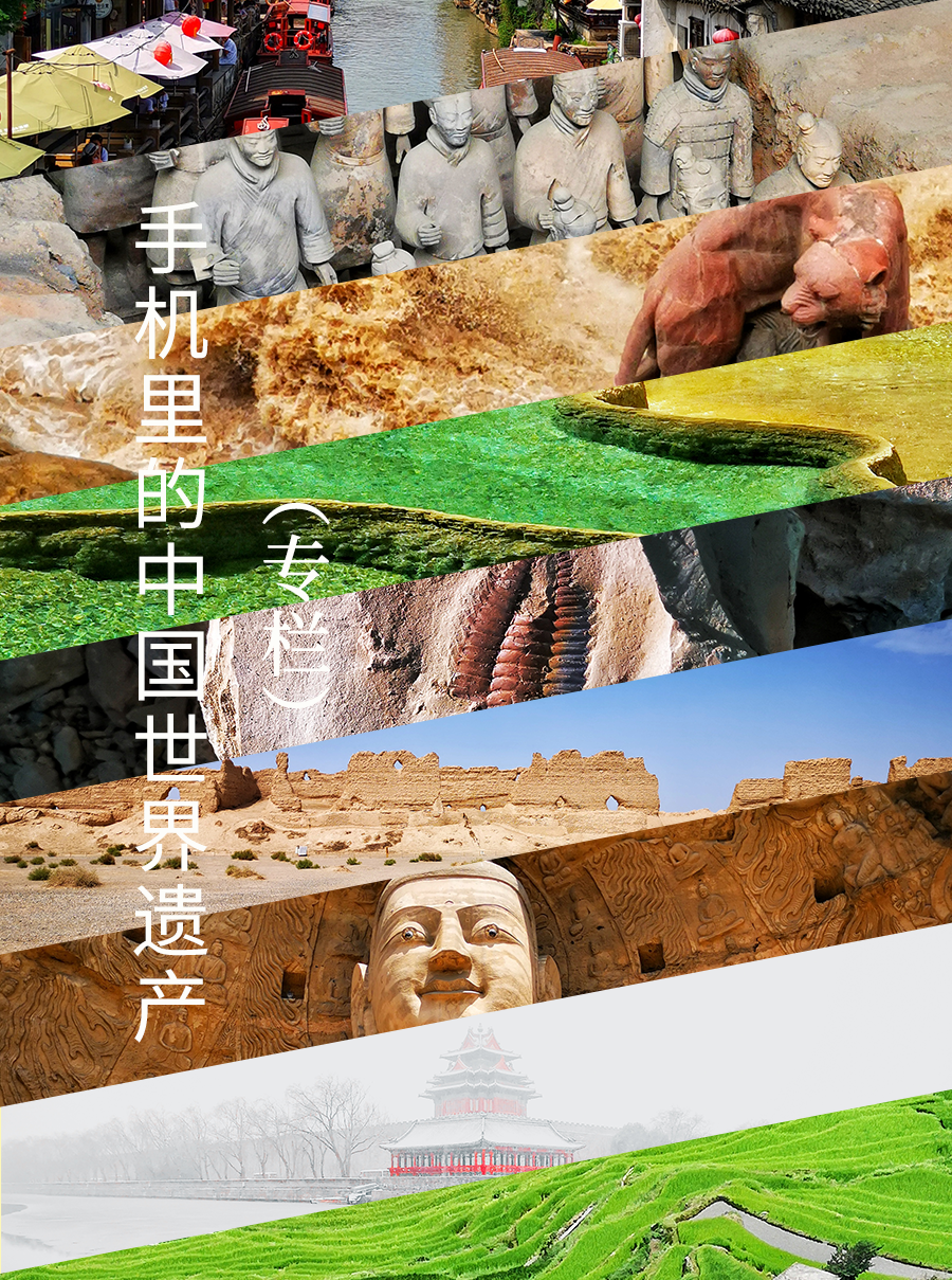四川大熊猫栖息地：一个“活的博物馆” | 手机里的中国世界遗产