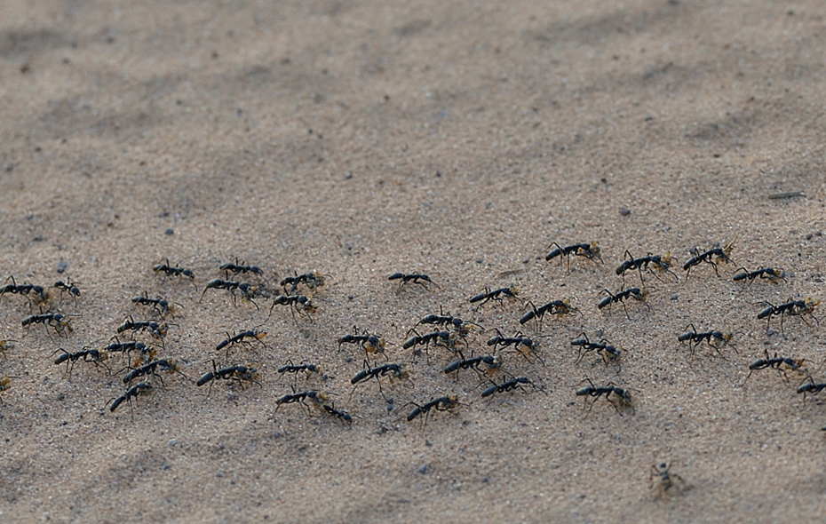 日本夫妇别姓之争 特别报道 环球人物网 有温度的人物网站