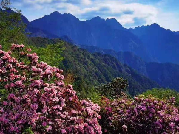 我们的第一站是海花沟大地公园,来到玫瑰谷2号花卉基地,这里已是游人