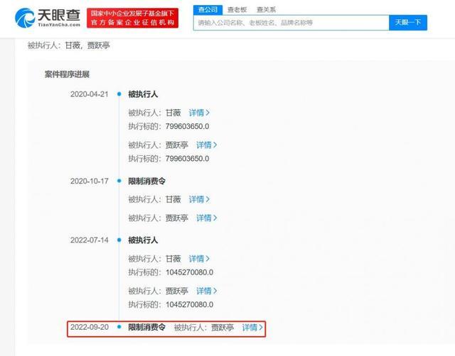 贾跃亭再次被限制高消费 累计被执行已超68亿元