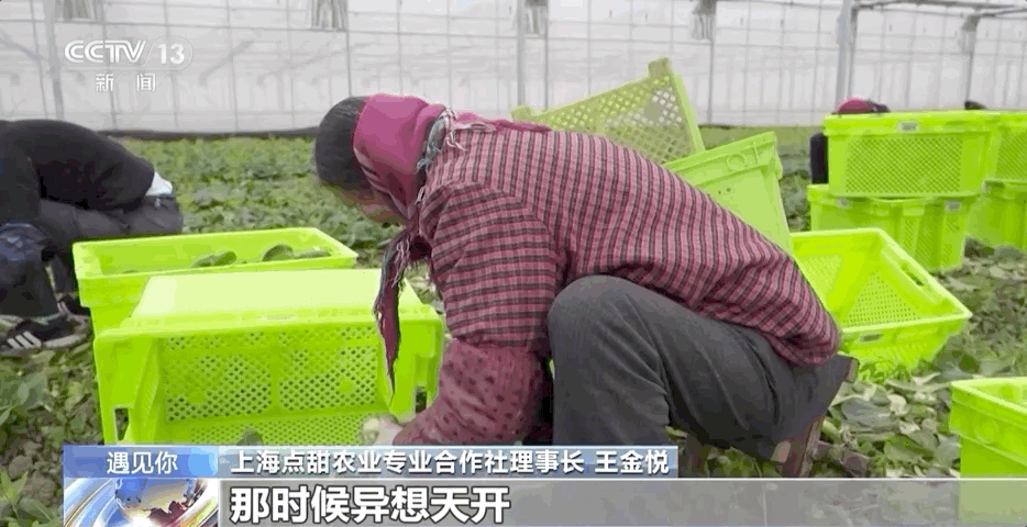 “喝着咖啡，吹着空调种地”？他做到了