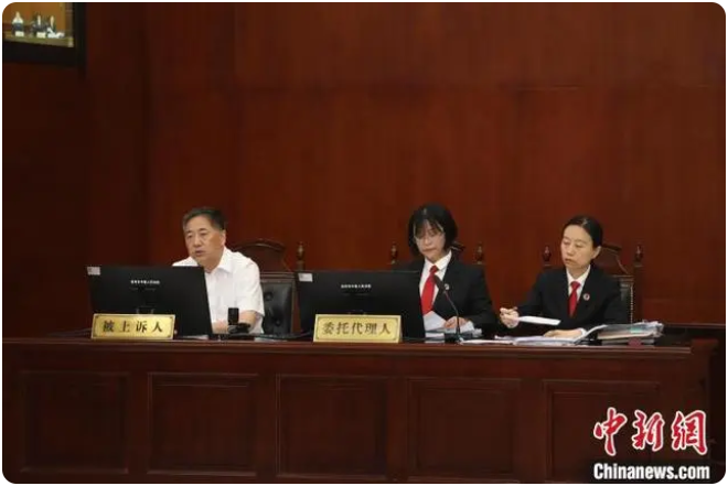 因一件小事杭州副市长坐上被告席,具体咋回事?