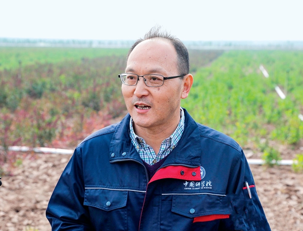 “我在非洲种高粱”