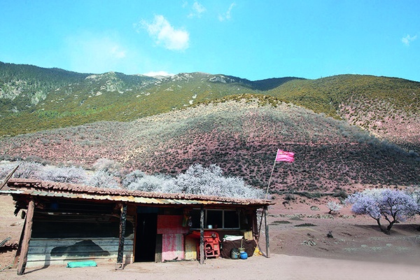 多贡: 守护家门口的 “金山银山”